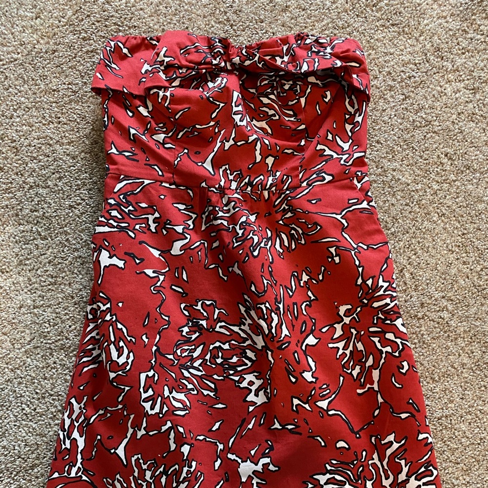 The Limited Dress